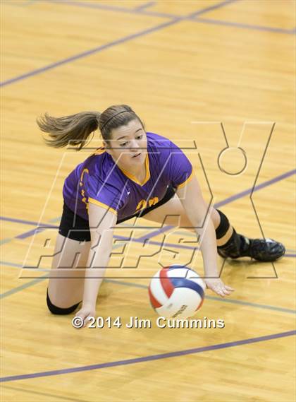 Thumbnail 3 in Taft @ Rolling Meadows photogallery.