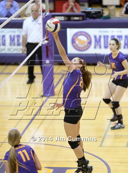 Thumbnail 3 in Taft @ Rolling Meadows photogallery.