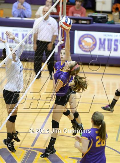 Thumbnail 3 in Taft @ Rolling Meadows photogallery.