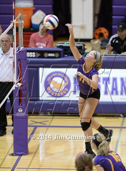 Thumbnail 1 in Taft @ Rolling Meadows photogallery.