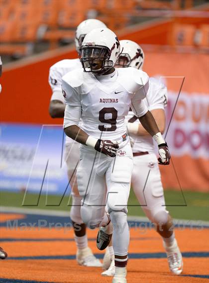 Thumbnail 1 in Aquinas  vs. Monroe-Woodbury (NYSPHSAA Class AA Final) photogallery.