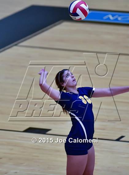 Thumbnail 3 in Poth @ Madison photogallery.