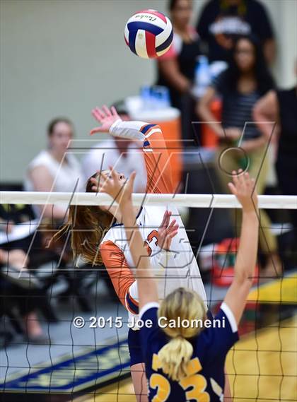 Thumbnail 1 in Poth @ Madison photogallery.