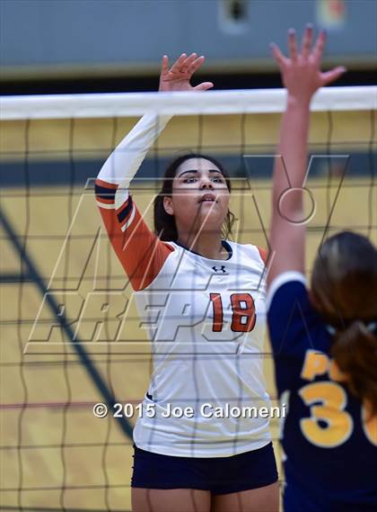 Thumbnail 1 in Poth @ Madison photogallery.