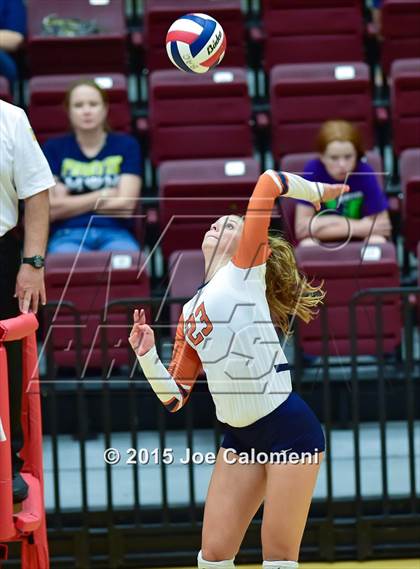 Thumbnail 2 in Poth @ Madison photogallery.