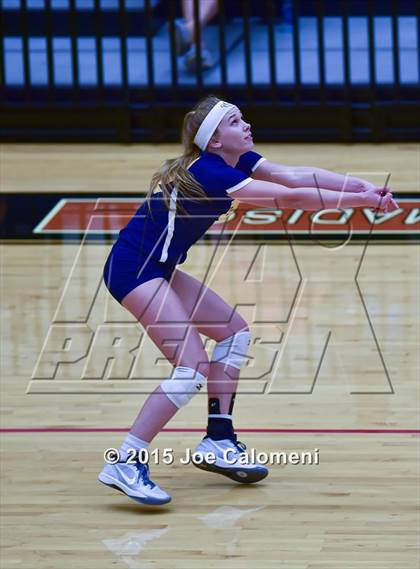 Thumbnail 3 in Poth @ Madison photogallery.