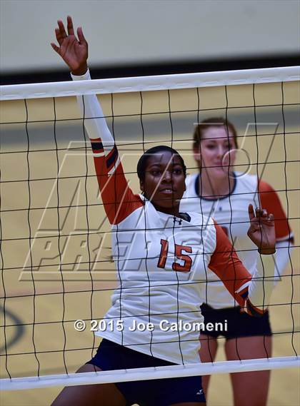 Thumbnail 3 in Poth @ Madison photogallery.