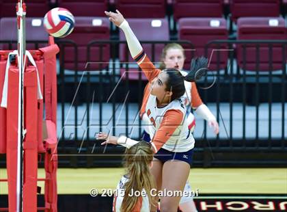 Thumbnail 3 in Poth @ Madison photogallery.