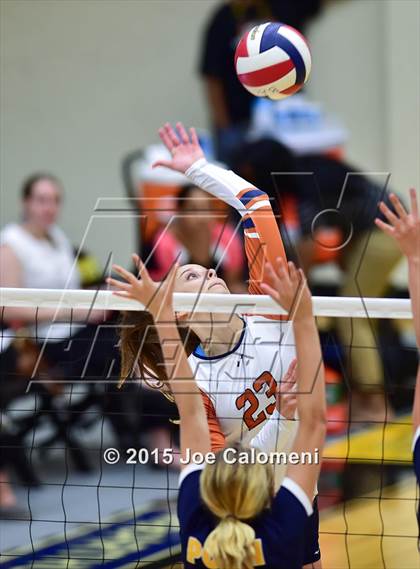 Thumbnail 2 in Poth @ Madison photogallery.