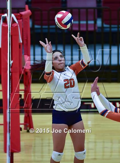 Thumbnail 3 in Poth @ Madison photogallery.