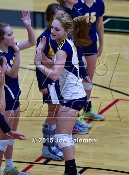 Thumbnail 2 in Poth @ Madison photogallery.