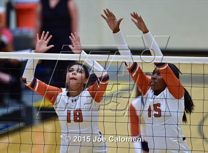 Thumbnail 2 in Poth @ Madison photogallery.