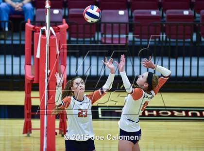 Thumbnail 1 in Poth @ Madison photogallery.