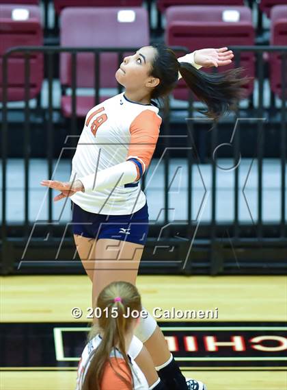 Thumbnail 2 in Poth @ Madison photogallery.