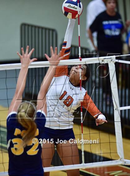 Thumbnail 3 in Poth @ Madison photogallery.