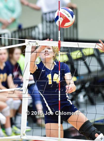 Thumbnail 2 in Poth @ Madison photogallery.