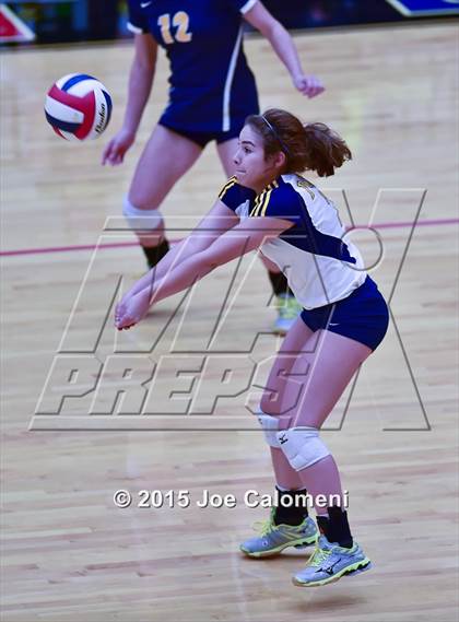 Thumbnail 3 in Poth @ Madison photogallery.