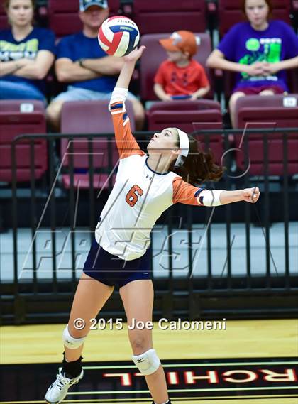 Thumbnail 2 in Poth @ Madison photogallery.