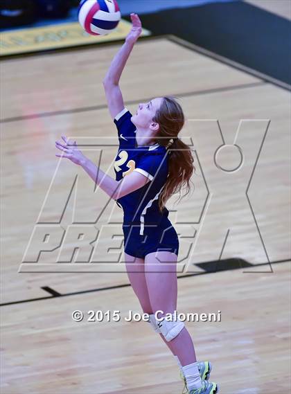 Thumbnail 3 in Poth @ Madison photogallery.