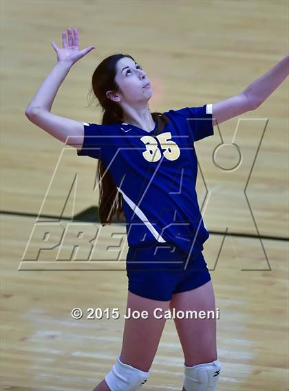 Thumbnail 3 in Poth @ Madison photogallery.