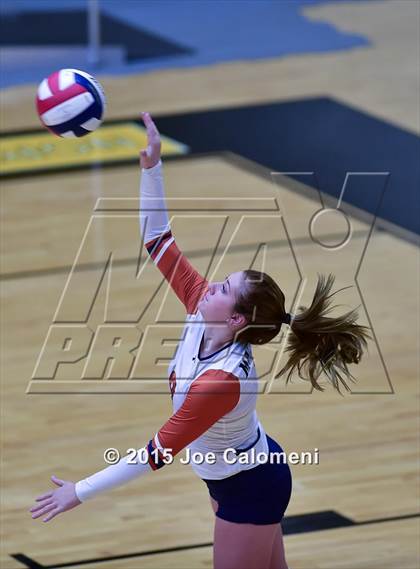 Thumbnail 3 in Poth @ Madison photogallery.