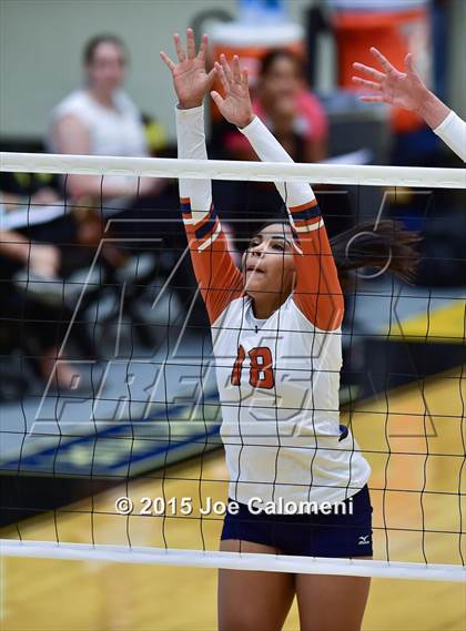 Thumbnail 1 in Poth @ Madison photogallery.