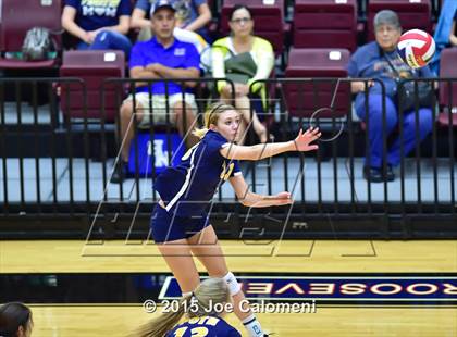 Thumbnail 1 in Poth @ Madison photogallery.