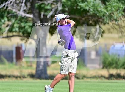 Thumbnail 3 in Denver Public Schools Tournament @ Kennedy Golf Course (V) photogallery.