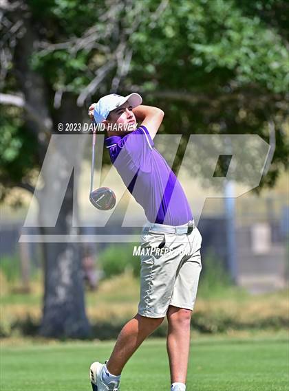Thumbnail 3 in Denver Public Schools Tournament @ Kennedy Golf Course (V) photogallery.