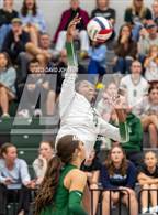 Photo from the gallery "Windsor @ Fossil Ridge"