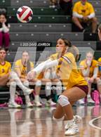 Photo from the gallery "Windsor @ Fossil Ridge"