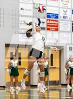 Photo from the gallery "Windsor @ Fossil Ridge"