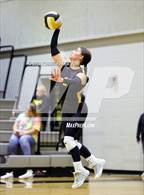 Photo from the gallery "Centennial @ Crandall"
