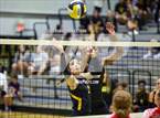 Photo from the gallery "Centennial @ Crandall"