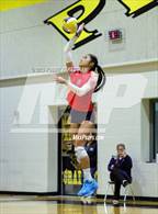 Photo from the gallery "Centennial @ Crandall"
