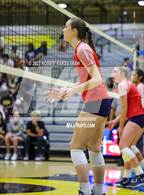 Photo from the gallery "Centennial @ Crandall"