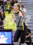 Photo from the gallery "Centennial @ Crandall"