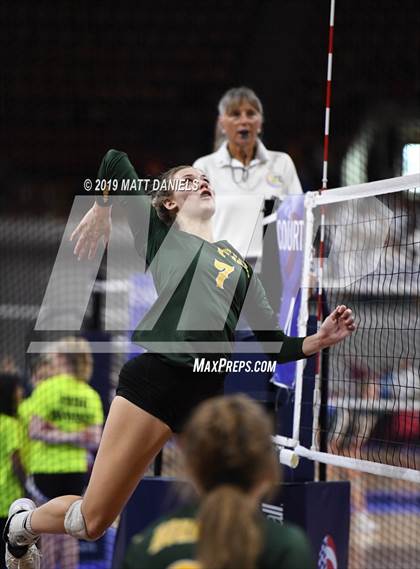 Thumbnail 2 in Pueblo County vs. Palmer Ridge (CHSAA 4A Playoff) photogallery.