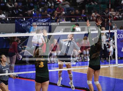 Thumbnail 1 in Pueblo County vs. Palmer Ridge (CHSAA 4A Playoff) photogallery.