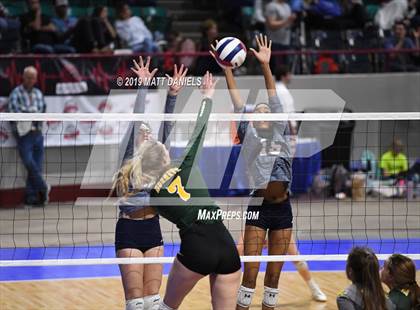 Thumbnail 1 in Pueblo County vs. Palmer Ridge (CHSAA 4A Playoff) photogallery.