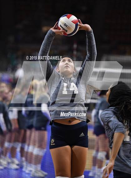 Thumbnail 2 in Pueblo County vs. Palmer Ridge (CHSAA 4A Playoff) photogallery.