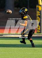 Photo from the gallery "Palo Alto @ Mountain View"
