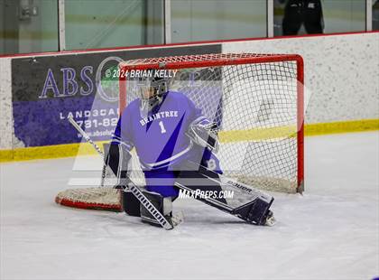Thumbnail 1 in Hingham vs Braintree (MIAA Division 1 Sweet 16) photogallery.