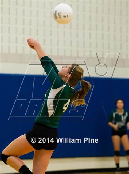 Thumbnail 3 in  Spackenkill vs. Millbrook (Section 9 Class C Final) photogallery.