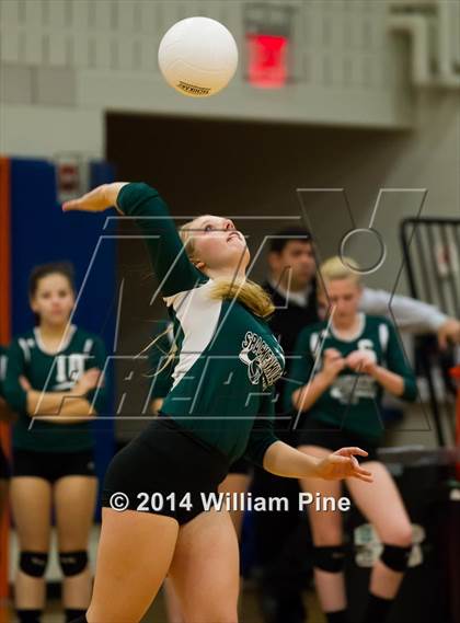 Thumbnail 2 in  Spackenkill vs. Millbrook (Section 9 Class C Final) photogallery.
