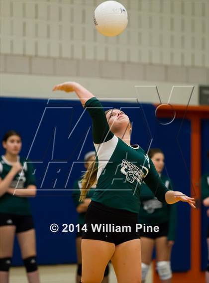 Thumbnail 2 in  Spackenkill vs. Millbrook (Section 9 Class C Final) photogallery.