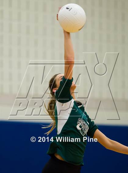 Thumbnail 2 in  Spackenkill vs. Millbrook (Section 9 Class C Final) photogallery.