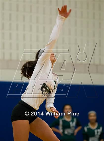 Thumbnail 2 in  Spackenkill vs. Millbrook (Section 9 Class C Final) photogallery.