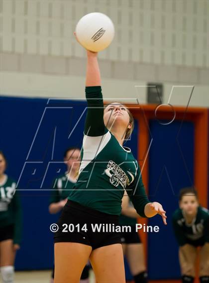 Thumbnail 3 in  Spackenkill vs. Millbrook (Section 9 Class C Final) photogallery.