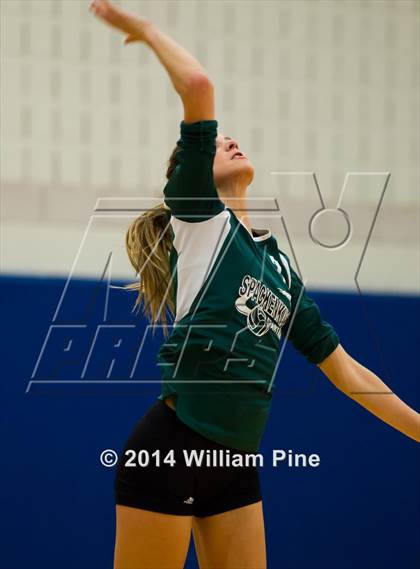Thumbnail 1 in  Spackenkill vs. Millbrook (Section 9 Class C Final) photogallery.
